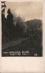 Train Approaching Sullys Postcard
