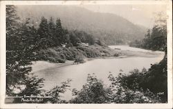 Russian River From Sherman House Monte Rio, CA Postcard Postcard Postcard