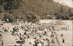 A Crowd on a Sandy Beach Monte Rio, CA M. A. Lowry Postcard Postcard Postcard