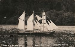 W H Dimond sailing ship three masts Capt AO Nilson Postcard