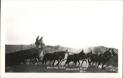 Hauling Ties Postcard