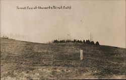 Forest Fire at Stewarts Point Calif. Postcard