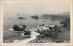 A Bit of the Coast Postcard