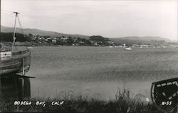 Bodega Bay, Calif. Postcard