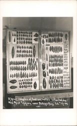 Samples of Indian Relics by Mrs. Rose Grafney Near Bodega Bay Postcard