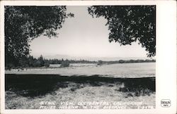 Scenic View Mt. St. Helena in the Distance Postcard