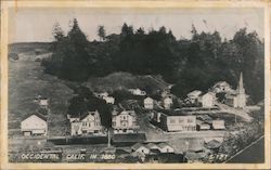 View of Town (1880) Postcard