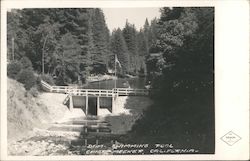 Swimming Pool Postcard