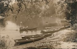 Row boats Postcard