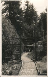 Redwood Lodge Summer Home Park Summerhome Park, CA Wm. Mc Clearie Postcard Postcard Postcard