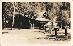 Wilson's Resort Postcard