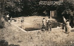Mt. Jackson Resort, Cosmo Postcard