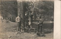 Two Men Standing Next to Two Deer Hanging from a Tree Postcard Postcard Postcard