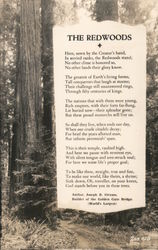 The Redwoods Postcard