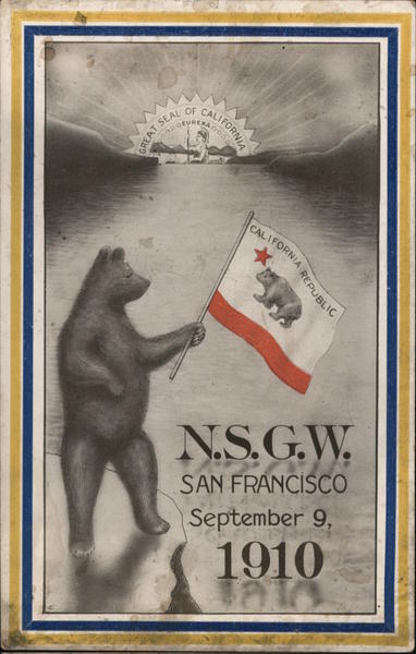 NSGW Bear Waving Flag San Francisco California