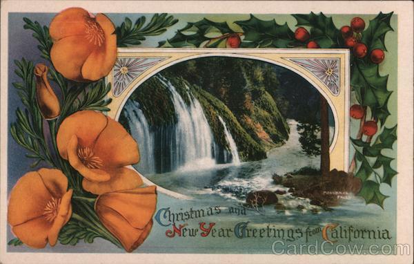 Christmas and New Year Greetings from California