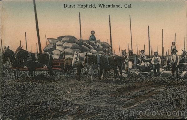 Durst Hopfield Wheatland California