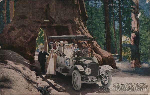 Wawona, Big Tree Yosemite Valley California