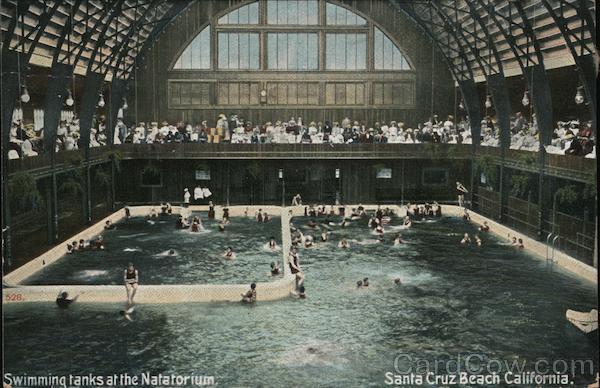Swimming Tanks at the Natarium Santa Cruz California