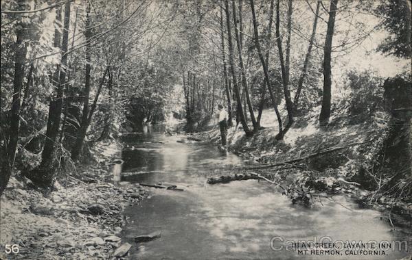 Bean Creek, Zayante Inn Mt. Hermon, California Mount Hermon