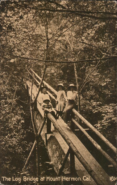 The Log Bridge at Mount Hermon California