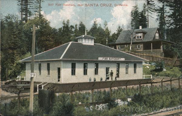 Fish Hatchery Santa Cruz California