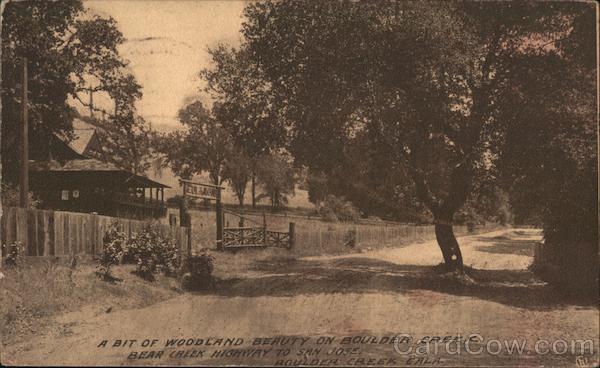 Woodland Beauty on Boulder Creek California