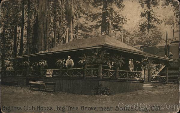 Big Tree Club House, Big Tree Grove Santa Cruz, CA Postcard