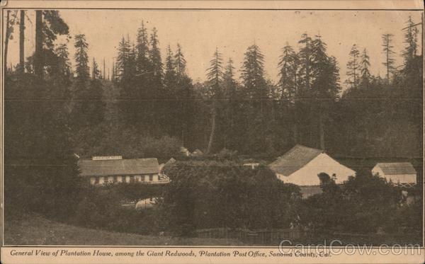 General View of Plantation House, Among the Giant Redwoods, Plantation Post Office Sonoma California
