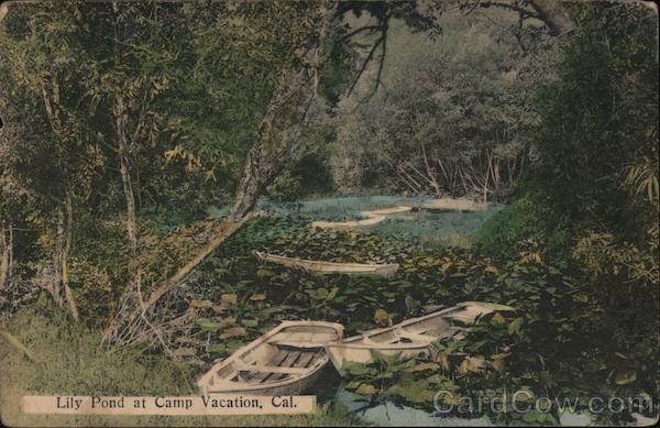 Lily Pond at Camp Vacation California