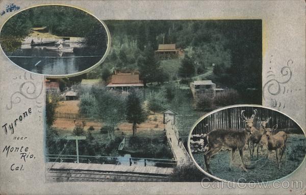 Tyrone near Monte Rio, Cal. California