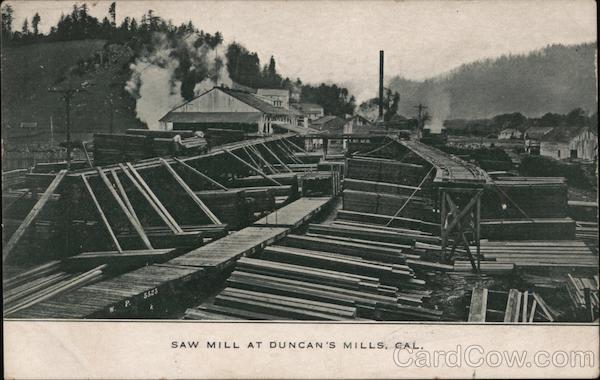 Saw Mill Duncans Mills California