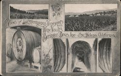 Views of Los Hermanos Vineyards and Wine Vaults Postcard