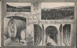 Views of Los Hermanos Vineyards and Wine Vaults Saint Helena, CA Postcard Postcard Postcard