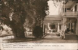 Main Driveway, St. Helena Sanitarium Saint Helena, CA Postcard Postcard Postcard