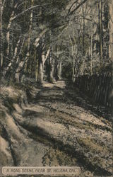 Road Scene near St Helena Postcard