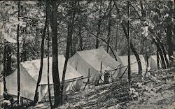 Camping Tents on Mountain Postcard
