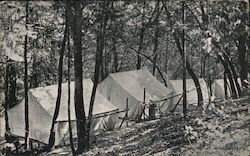 Camping Tents on Mountain Saint Helena, CA Postcard Postcard Postcard