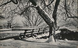 Winter Scene From Woodworth's Croquet Court St. Helena, Cal. Postcard