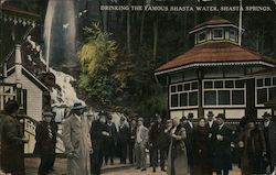 Drinking the Famous Shasta Water, Shasta Springs Postcard