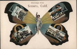 Greetings from Sonora, California Postcard Postcard Postcard