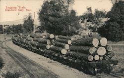 Logging Train, Standard City Postcard