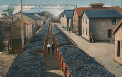 Carloads of Wine Grapes Stockton, CA Postcard Postcard Postcard