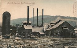 Westside Lumber Co. Tuolumne, CA Postcard Postcard Postcard