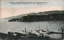 Tiburon Ferry Slips, Belvedere Point Postcard