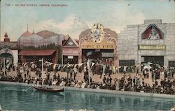 On the Midway Postcard