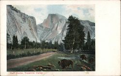 Half Dome - Buffalo Yosemite Valley, CA Postcard Postcard Postcard
