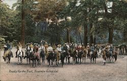 Ready For The Trail Postcard