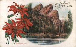 New Year's Greetings - Three Brothers Postcard