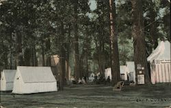 Camp Curry, Yosemite Valley Postcard